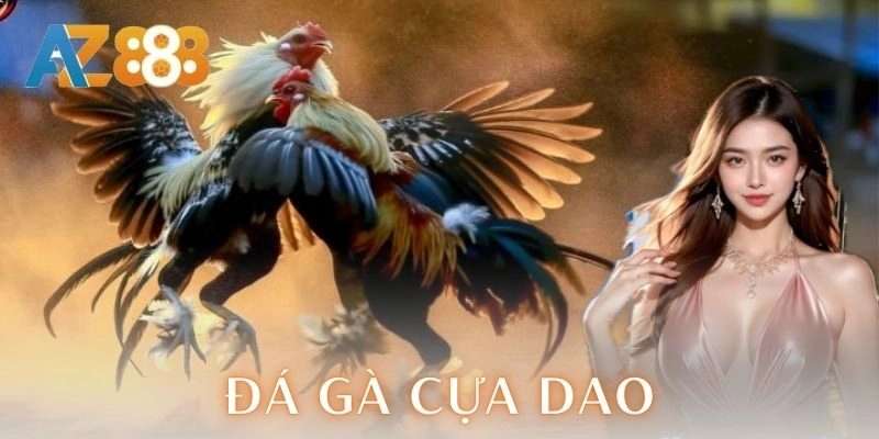 Đá gà cựa dao | Trận chiến kịch trần của dân chơi 1 Đá gà cựa dao là gì?