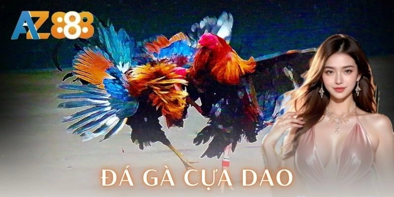 Đá gà cựa dao | Trận chiến kịch trần của dân chơi 2 Kỹ thuật chọn gà chiến
